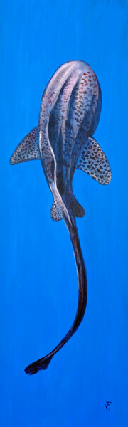 Leopard Shark